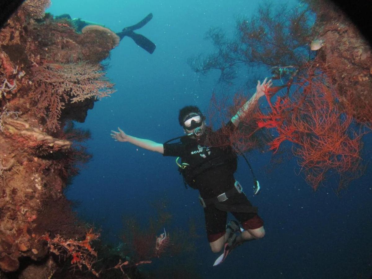 Toke Menjangan Hotell Banyuwedang Exteriör bild